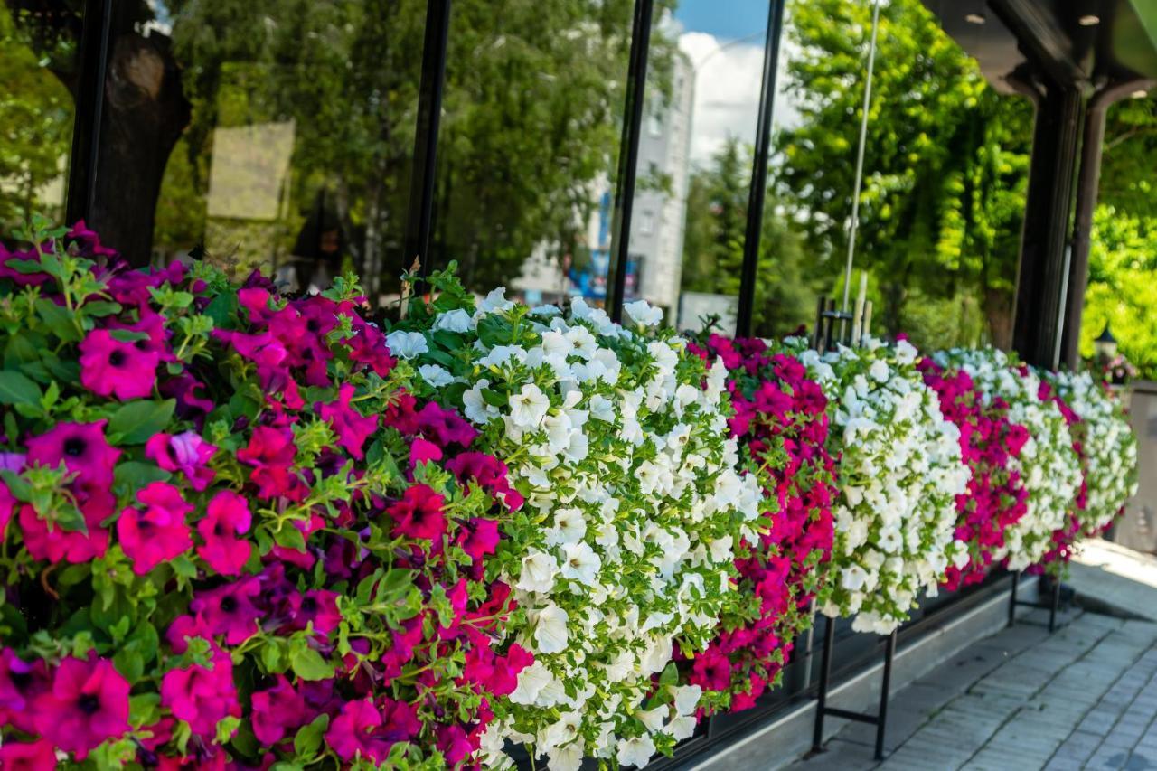 Vila Niko Hotel Ohrid Exterior photo